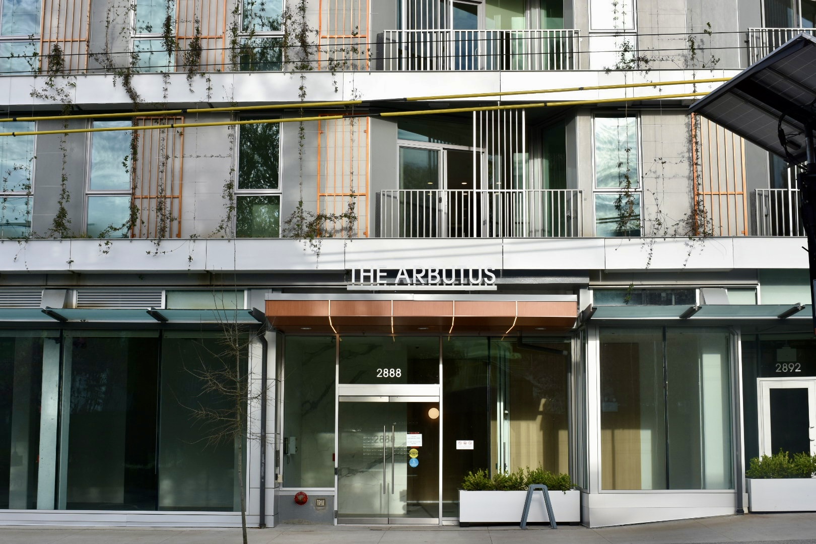 The Arbutus residential tower facade with custom window wall